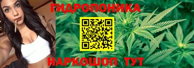 spice Лесосибирск