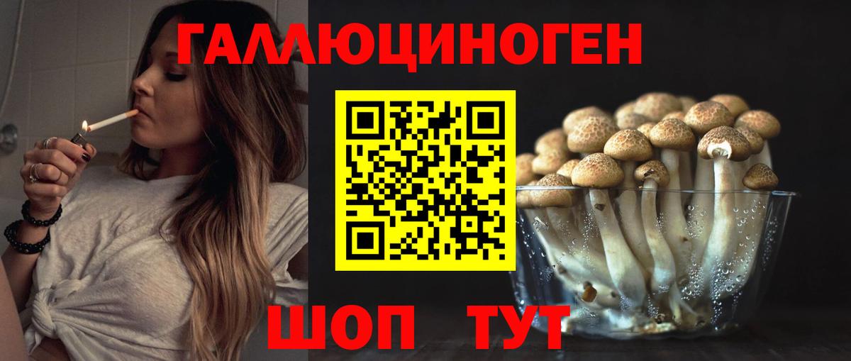 Псилоцибиновые грибы ЛСД Сунжа
