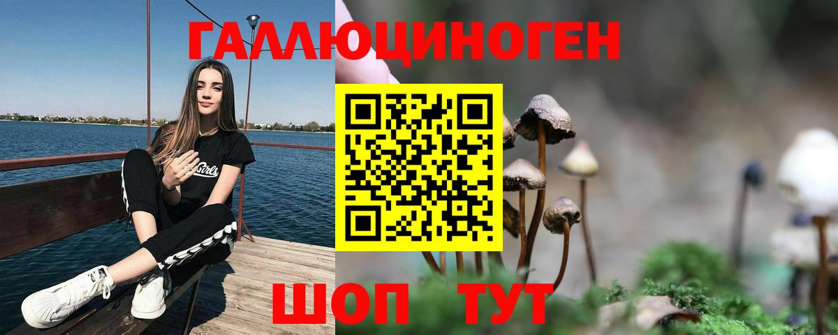 Сунжа  Псилоцибиновые грибы мухоморы  Вход с VPN 